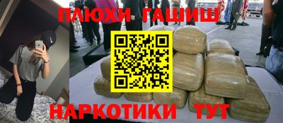 индика Тула