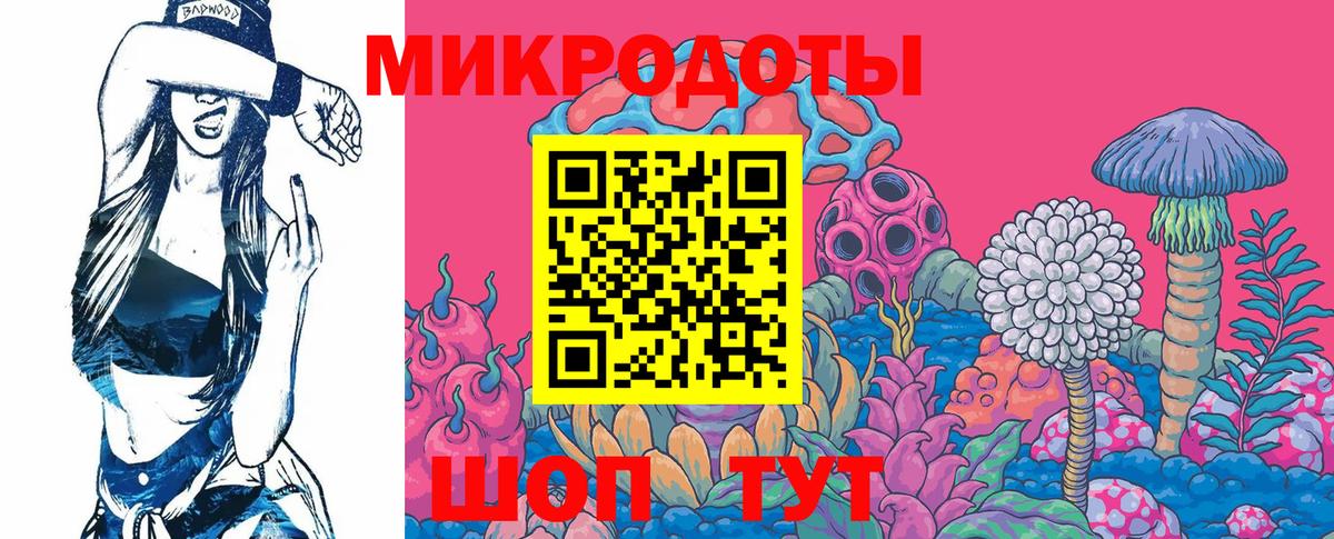 Кириши  Галлюциногенные грибы прущие грибы  Вход с VPN 